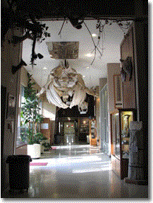 Sierra College Natural History Museum