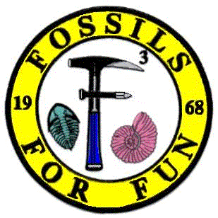 Fossils for Fun